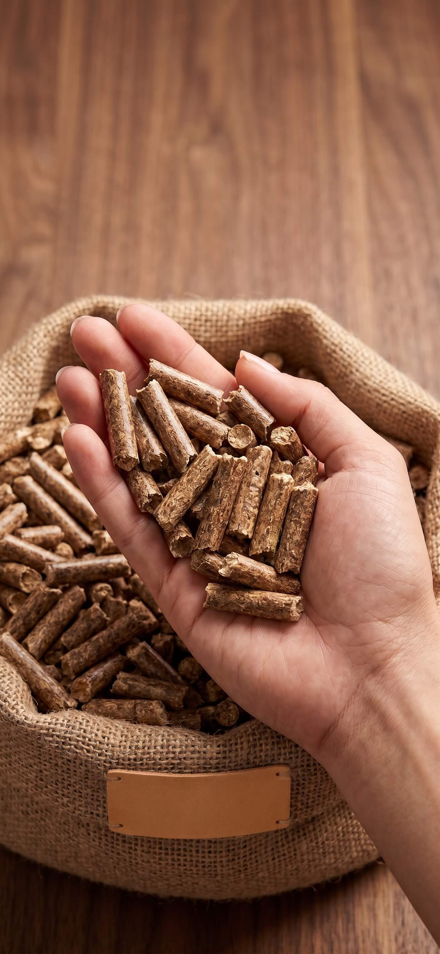 Biomass Pellets (Wood & Rice Husk)
