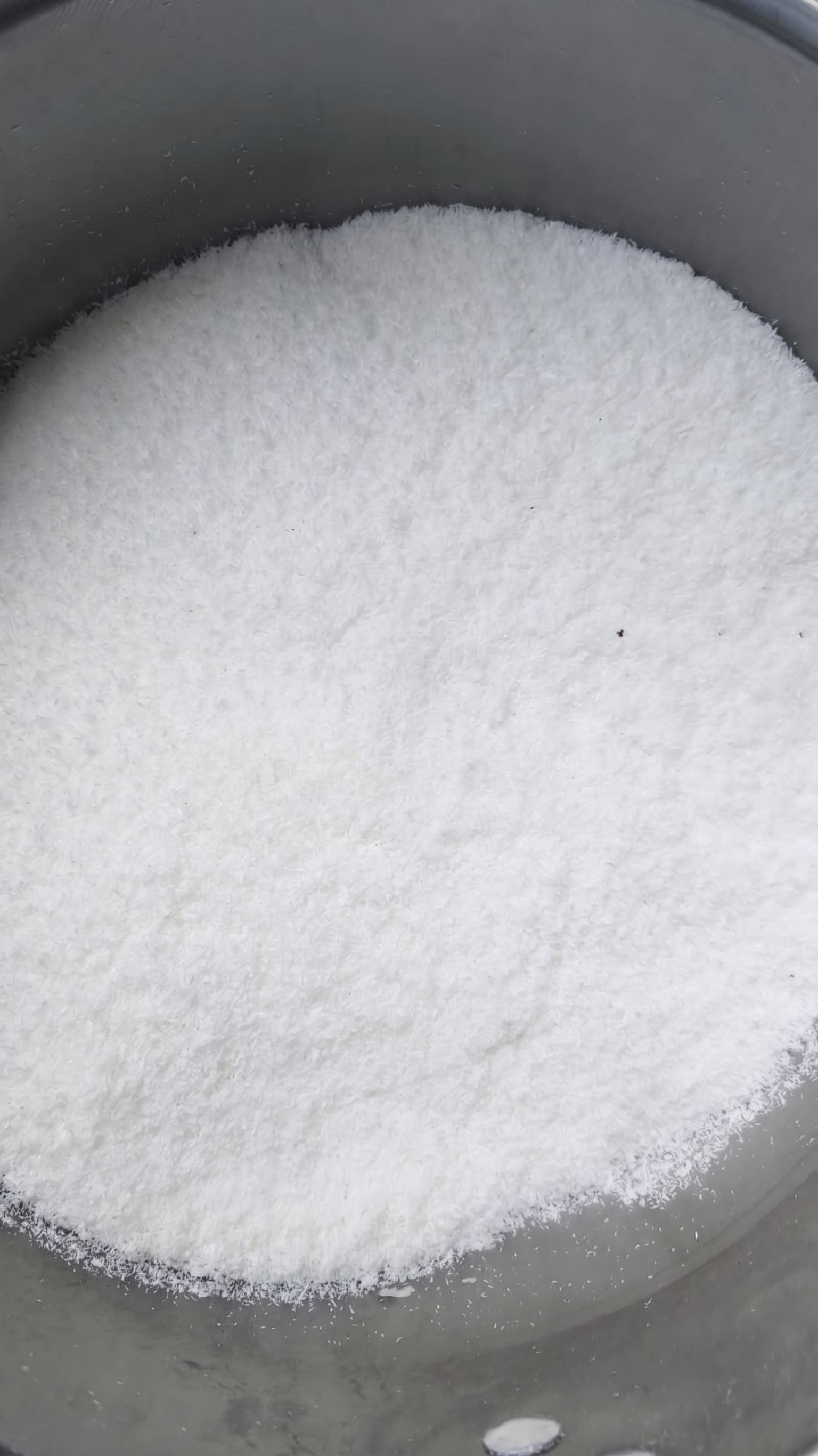 Desiccated Coconut Low Fat Extra Fine