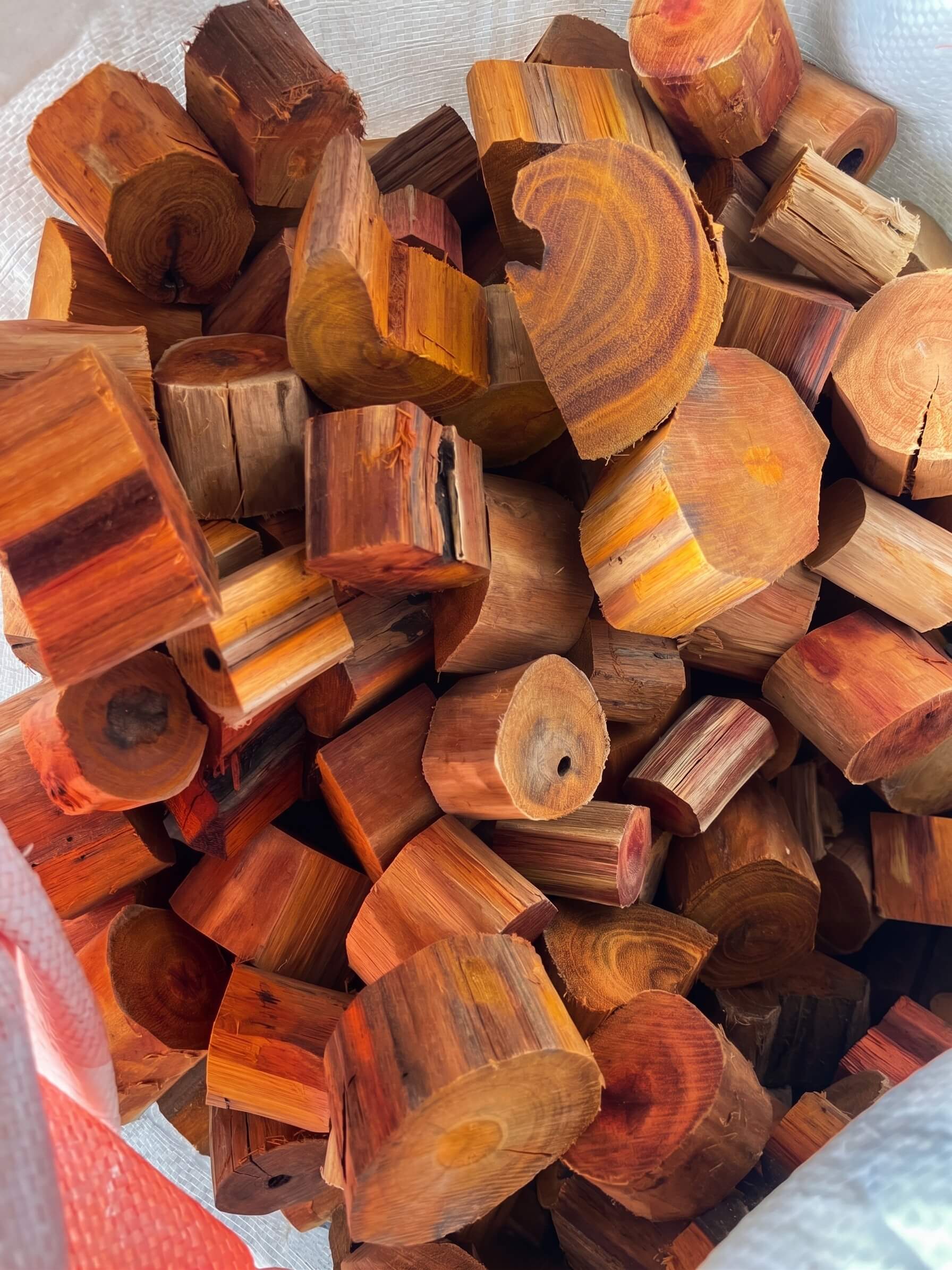 Sappan Wood (Kayu Secang)
